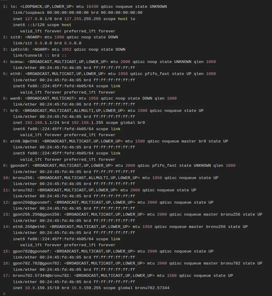 Network Interface Status Output