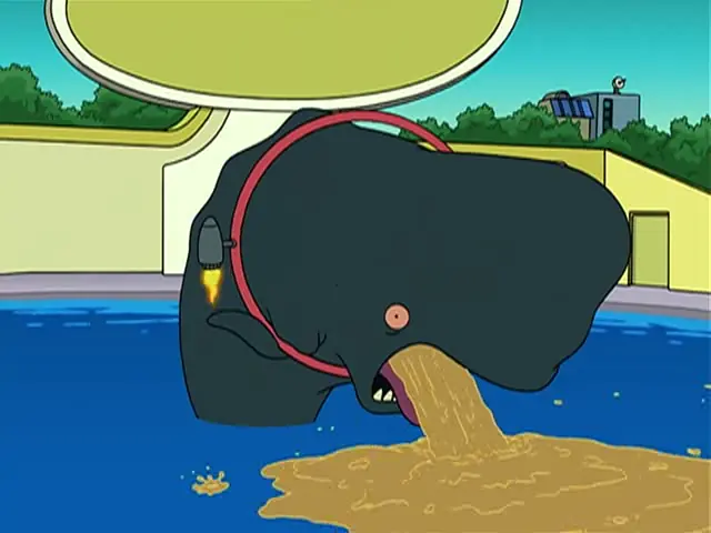 Photo of Whale Barfing
